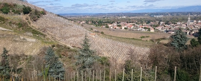 La Geynale petit format