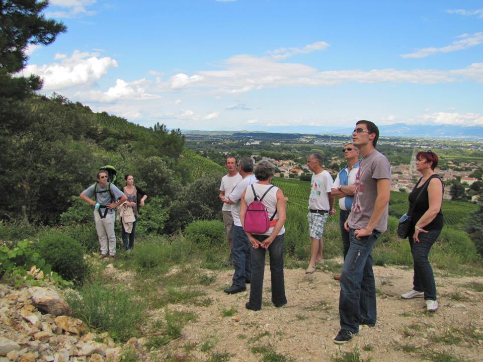 vendanges