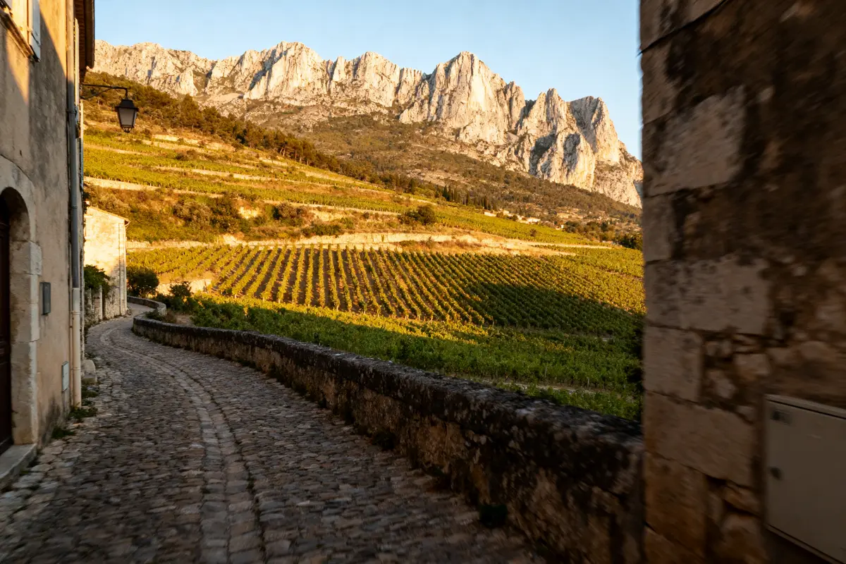 Chemin pavé bordant des vignes en terrasses, montagnes en arrière-plan sous lumière dorée du crépuscule.