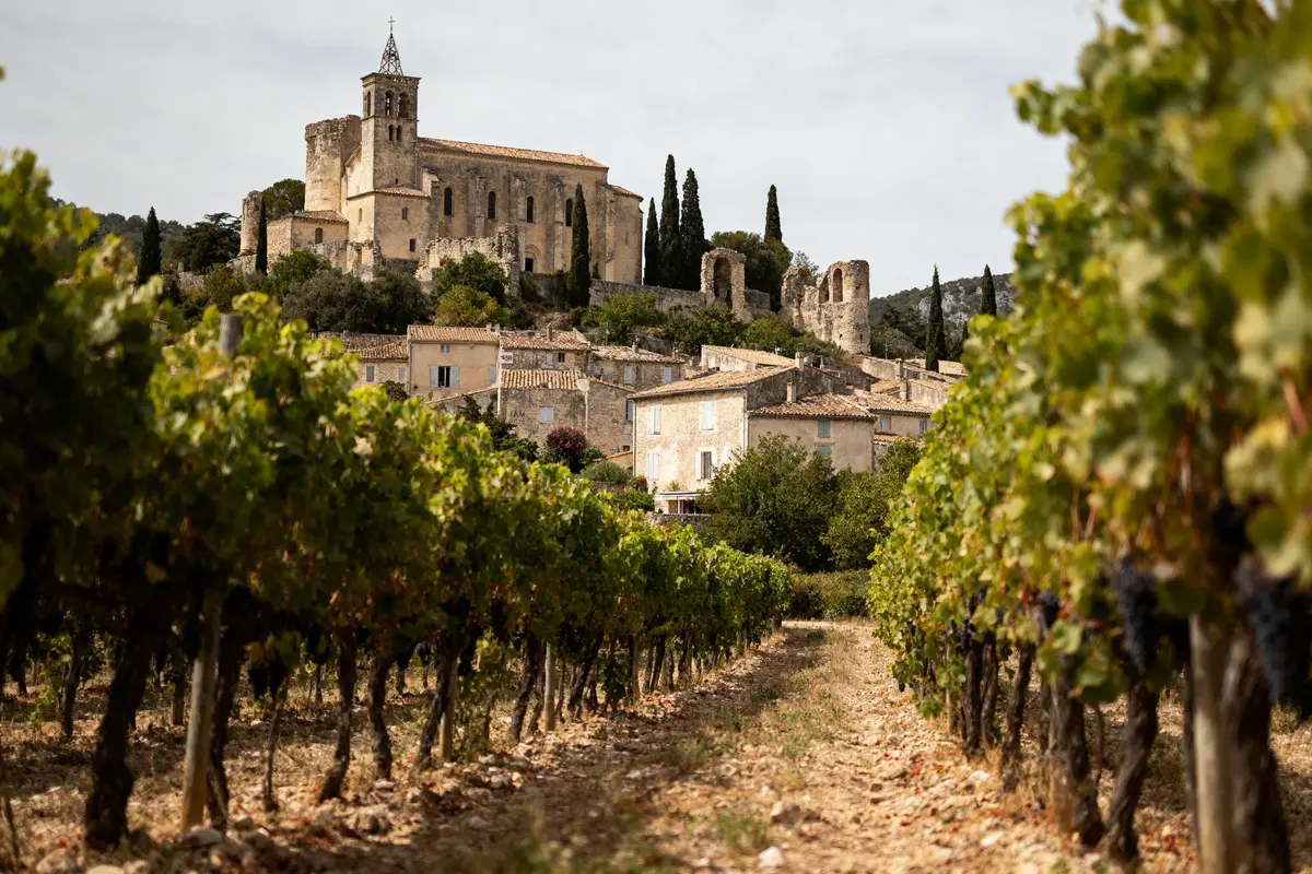 Village provençal pittoresque avec vignobles et église sur colline en arrière-plan.