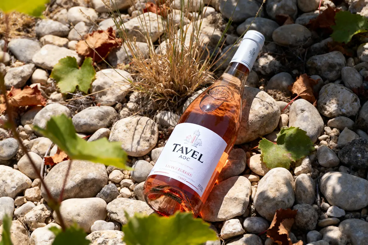 Bouteille de vin rosé Tavel AOC posée sur des galets avec quelques feuilles de vigne autour.