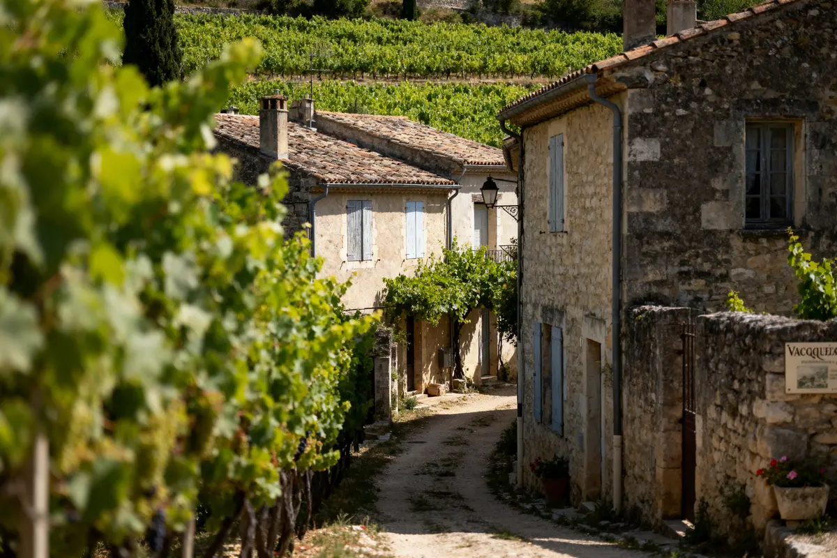 Village pittoresque avec maisons en pierre et vignes verdoyantes. Chemin sinueux bordé de verdure.