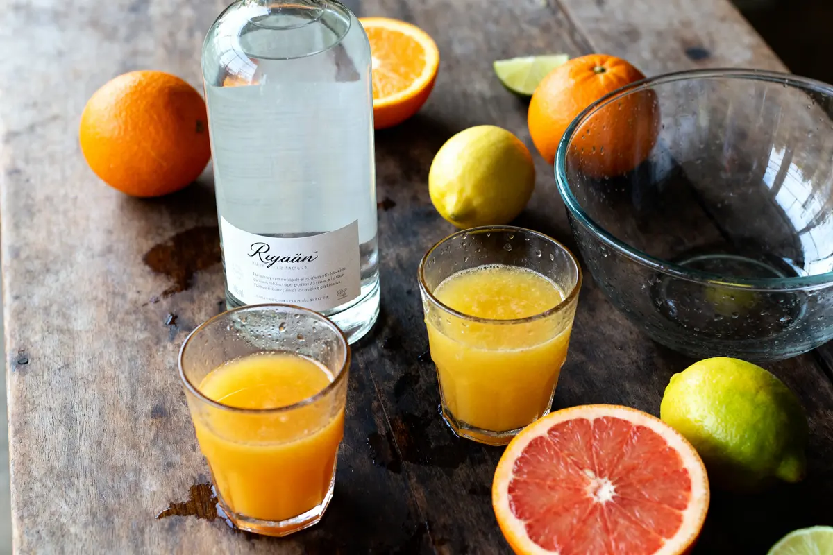 Recette de punch maison facile et délicieuse pour tous