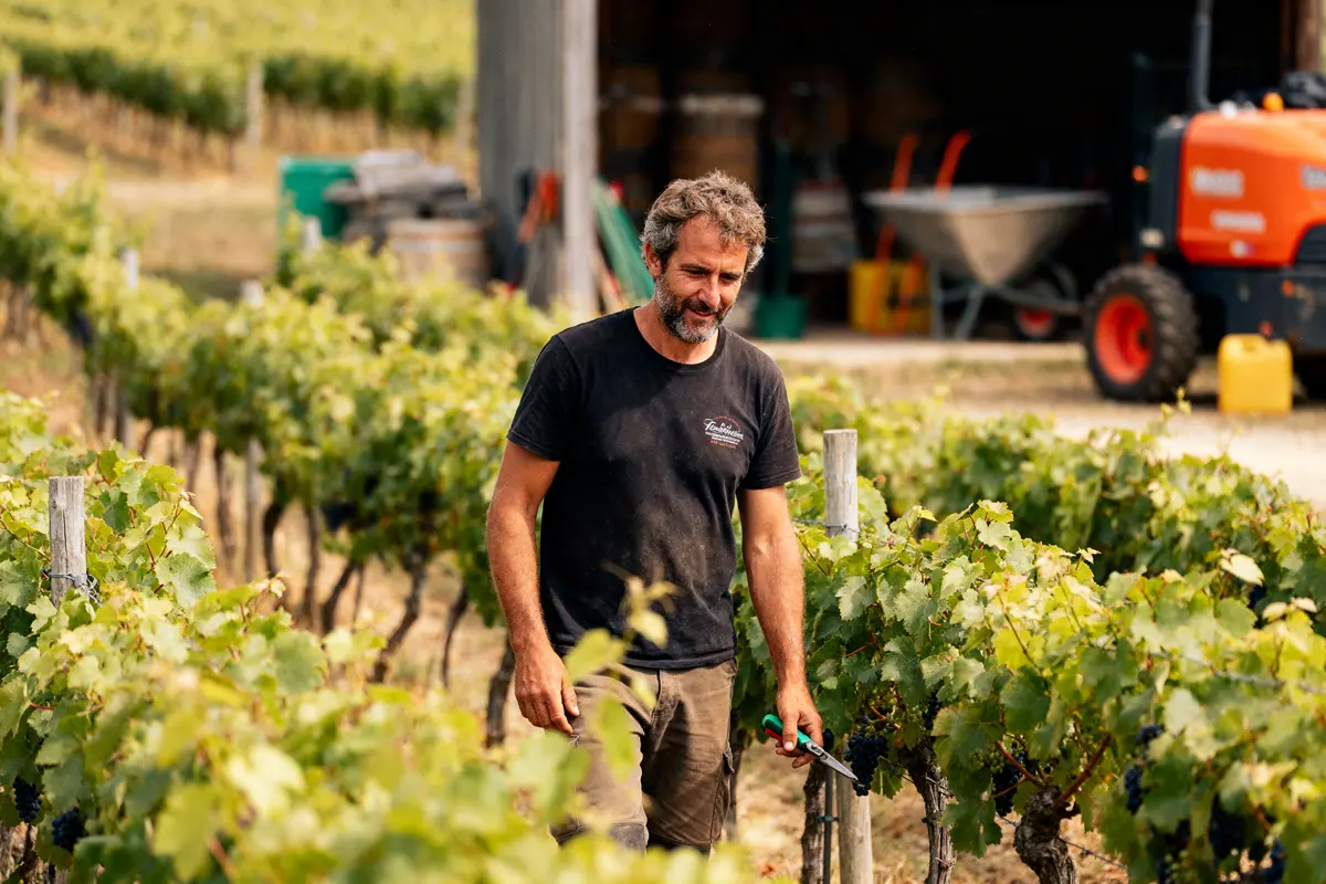 Wineriz : logiciel de gestion viticole pour piloter votre domaine
