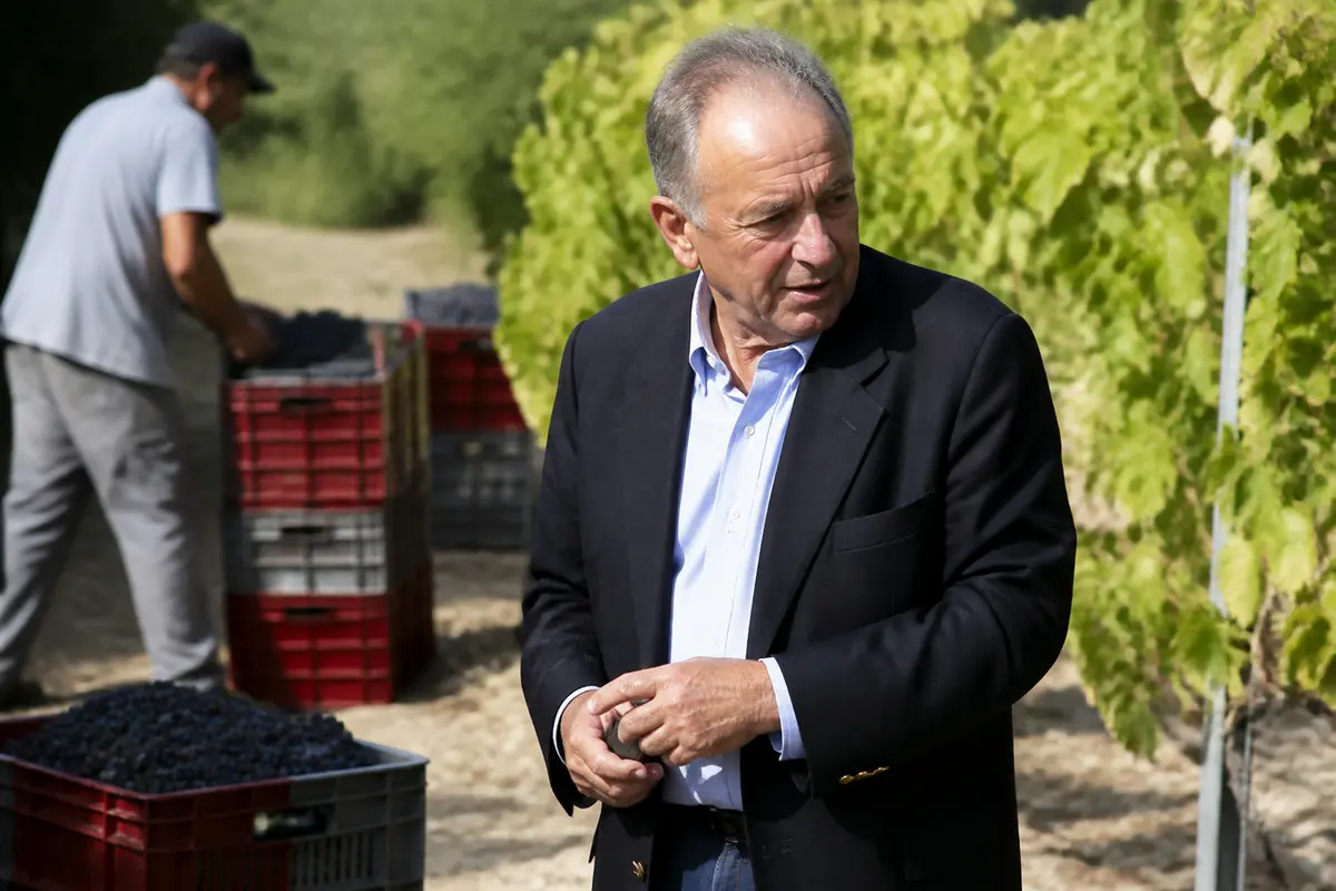 Pierre Castel : l’Empire du vin, la bataille familiale